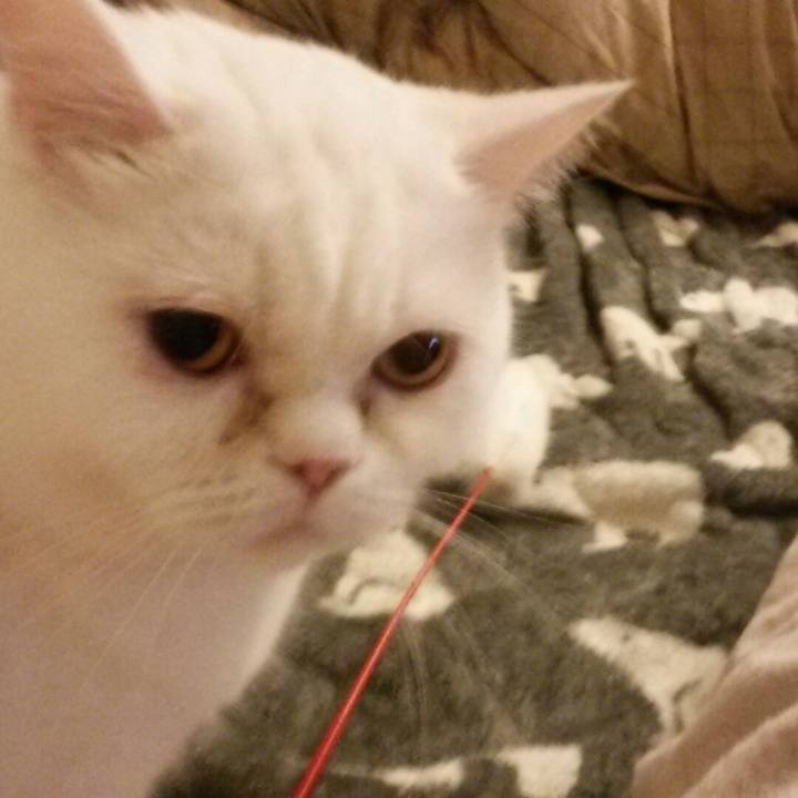 4024a567 6337 49df b418 f3da9e66046f 1515452657285