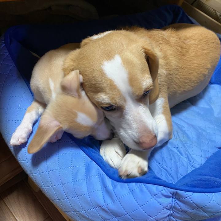 40257bbb f525 4021 9238 a2c2bfc69ba4 1662850804797