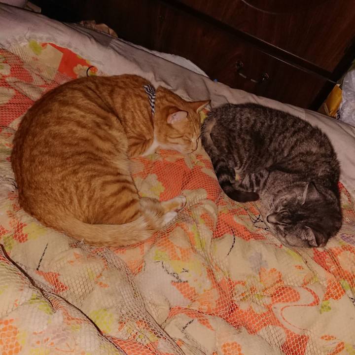 4025b070 f7b0 4416 ab80 113f50f47716 1571499461836