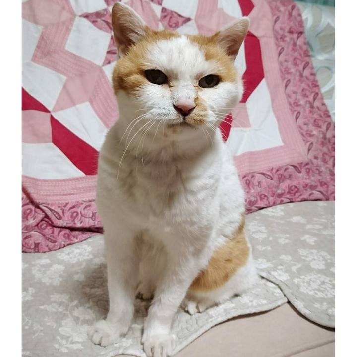 4025c1b8 1e98 4c9a a9c4 7963086449cc 1650638849998