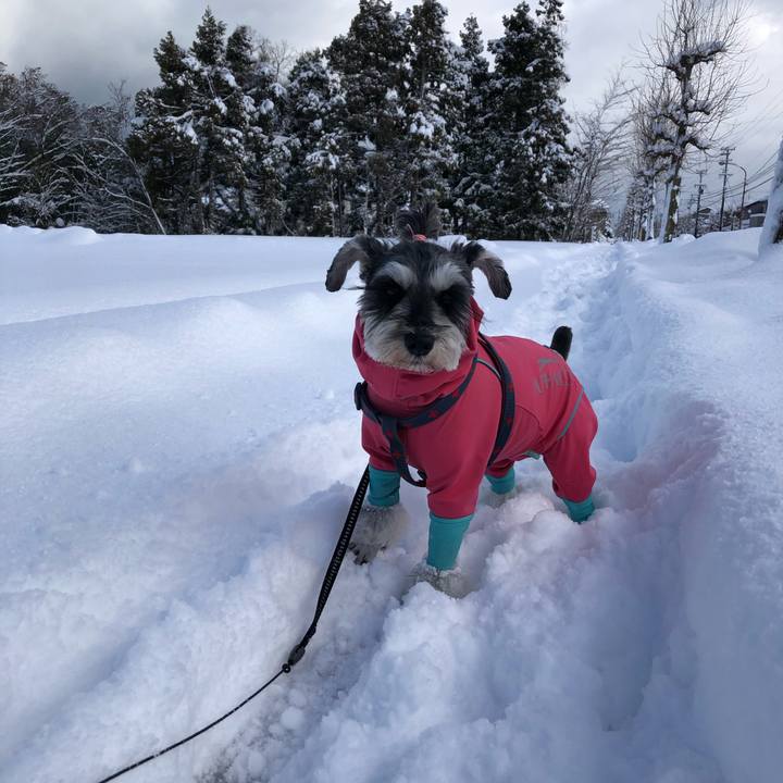 4025d259 bf8c 456d b858 945c6ba50d5a 1641019155487