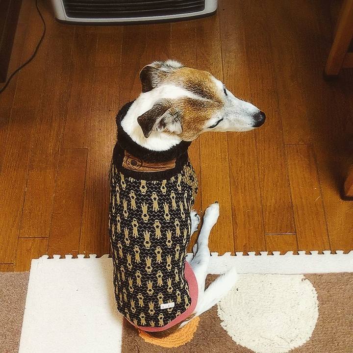 4025e9a4 526e 4a2a 8f8f a98452c0180e 1576016866172