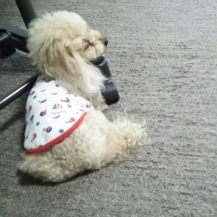 4025f499 6341 42b3 a5e6 d643096e741a 1535117575753