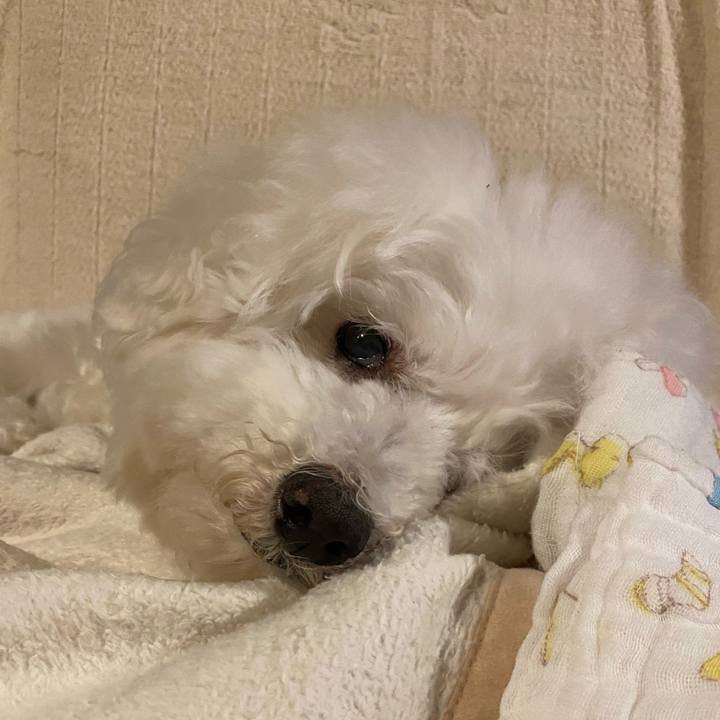 40260419 7f2f 4db7 a37d 65916e261a88 1645964747004