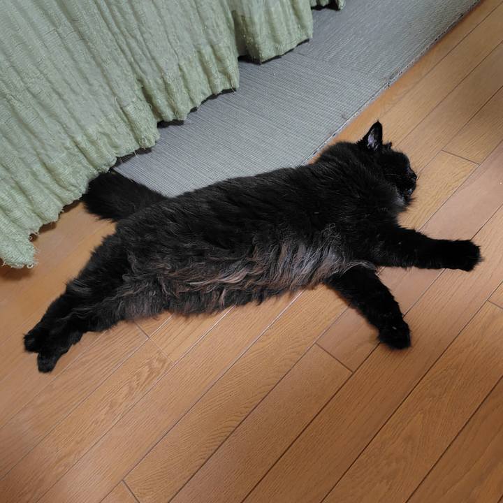 402621ad a9ed 435b b3c2 f1dcad0f658c 1751367257485