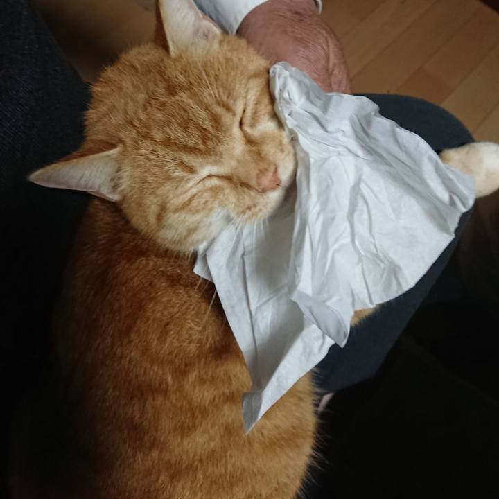 402638b3 03ac 4a58 bd0a e56611f2de68 1606686136032