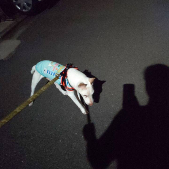 402653b2 a3fb 486d b70b b851d01d893b 1565959586456