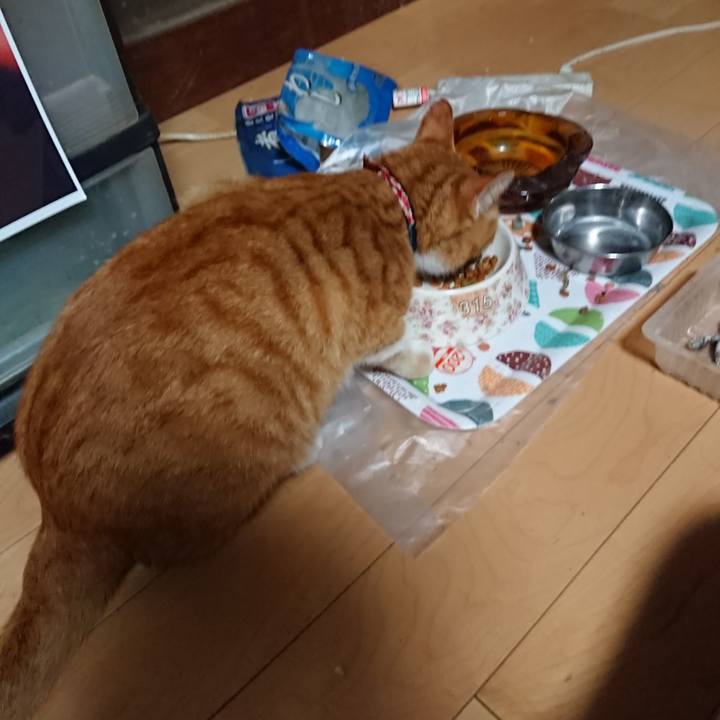 40266b9b 0374 4e0d 9b81 7c0910de5153 1599479832451