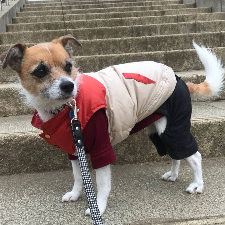 402694a1 914a 4fd3 9d1b f677017cad0a 1519518578584