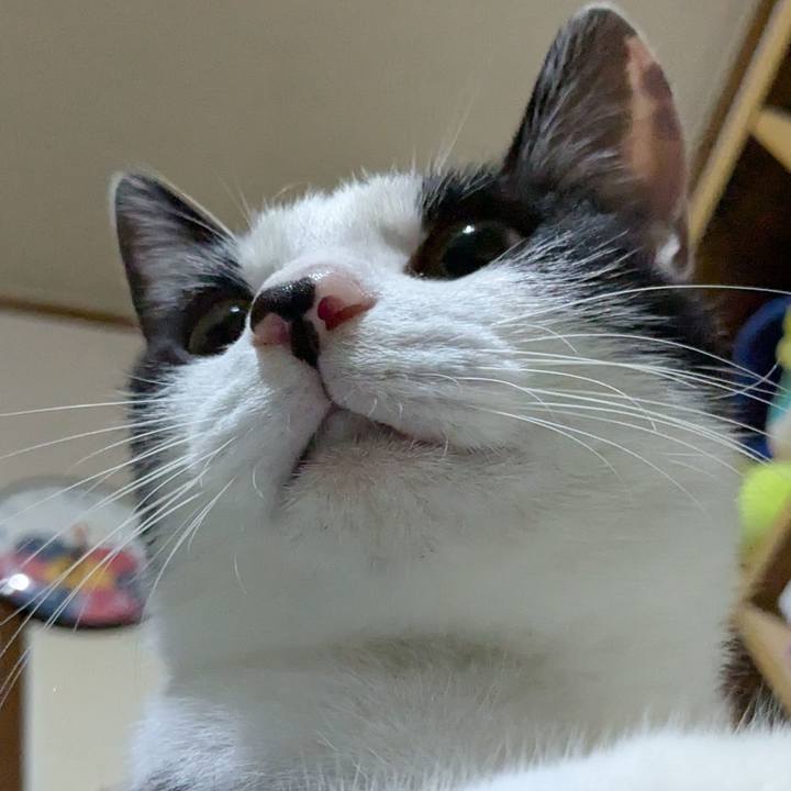 4026a033 d8f1 4811 8378 22b29f168231 1755275142796