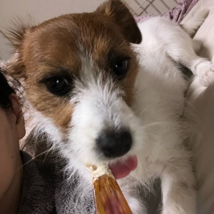 4026d454 3840 47b7 8199 462b9a064397 1517046733498