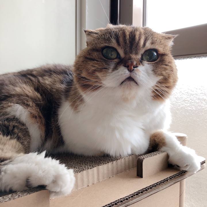 4026ecf3 d6df 42f7 92b8 ae710d54a94e 1601777155617