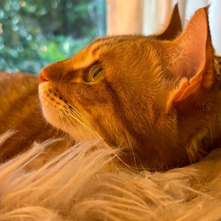 4026f2b8 3519 4353 8f2a dae9d5620afb 1714366730259