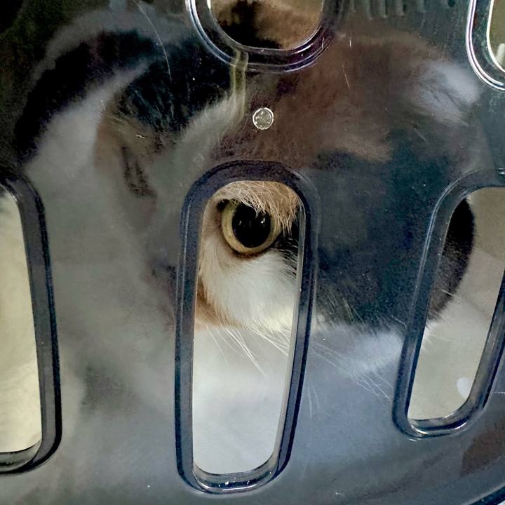 40270ca4 2671 4085 b0c8 efd4e464c31d 1727561892412