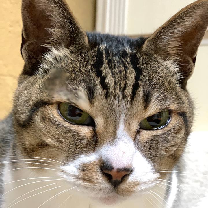 4027338f 89eb 474b a2b7 64b61331ac9c 1553303733928