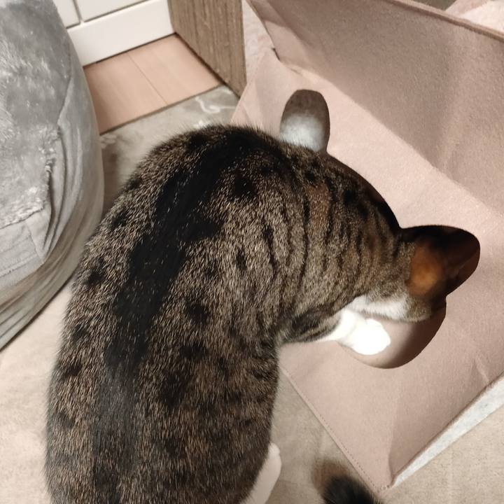 40275d91 2c07 4882 9832 8c7b647f501f 1675324795189