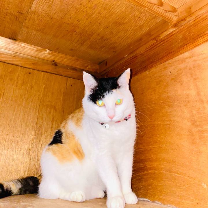 40278001 8553 47f8 98a7 3b31fc4bea8c 1686262646413