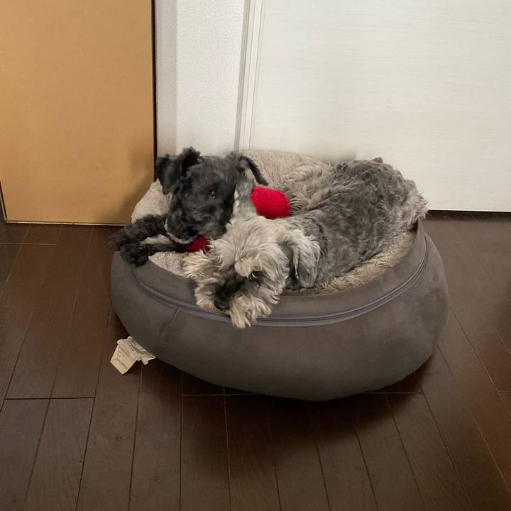 4027a3bb b637 42d6 9126 fbe98e754b72 1644557649154