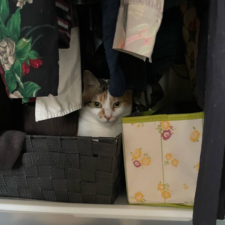 4027a473 8da8 4631 bc63 3ff852cc2235 1657064389684