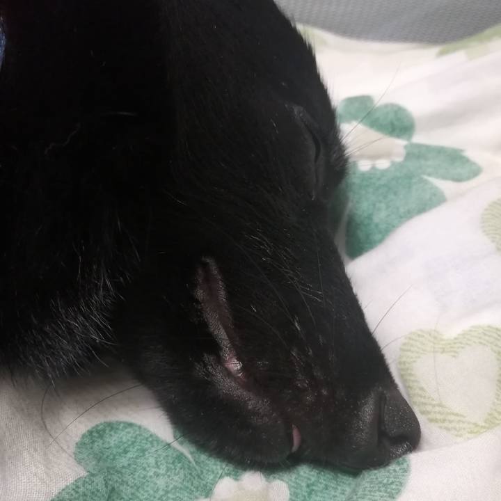 4027a7b7 5ae5 4e7f addf 07bfc82d3628 1628084325921