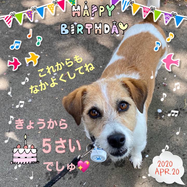 4027cccd 2663 4112 b9a5 712b7f293296 1587365636587