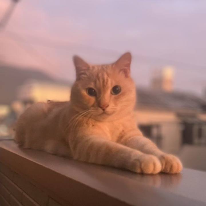 4027d6a2 638f 448c bb55 7c3f81a672b3 1751024400486