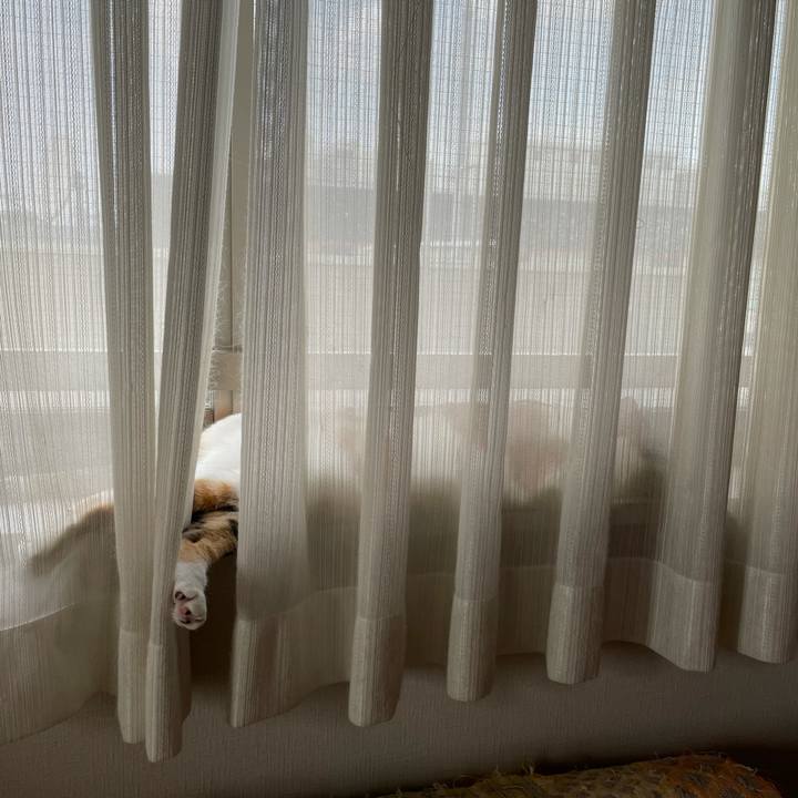 4027db01 e199 4f27 9e02 08e2c415f331 1629607464161