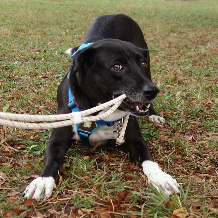 4027eeb3 97ea 4656 9c48 dbd22fadb827 1636331373594