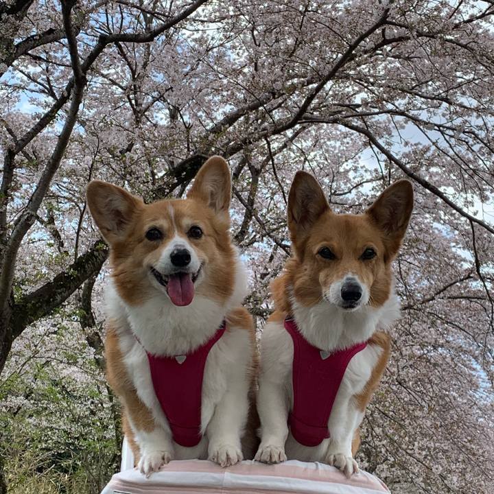 4028160b 34b3 4df6 a7f6 45b0d1b66d30 1712893882876