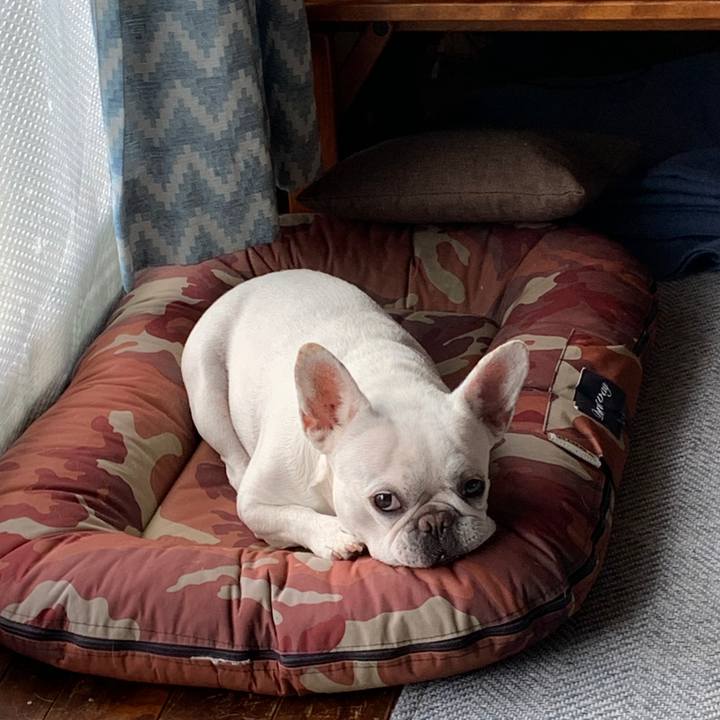 40281aa6 0174 44ba be9e 2ee62bf37f38 1724021344489