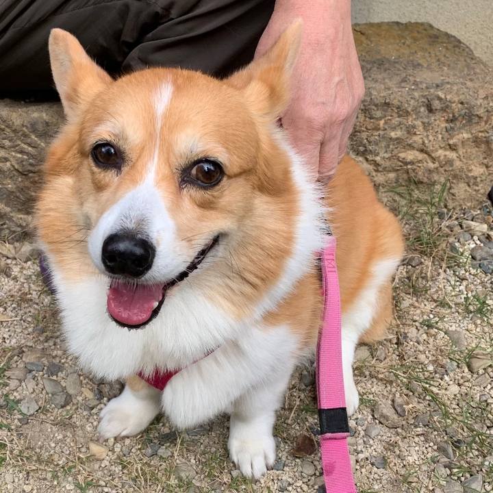 402843dd 885f 4588 b6b7 a55ea407165f 1666844448531