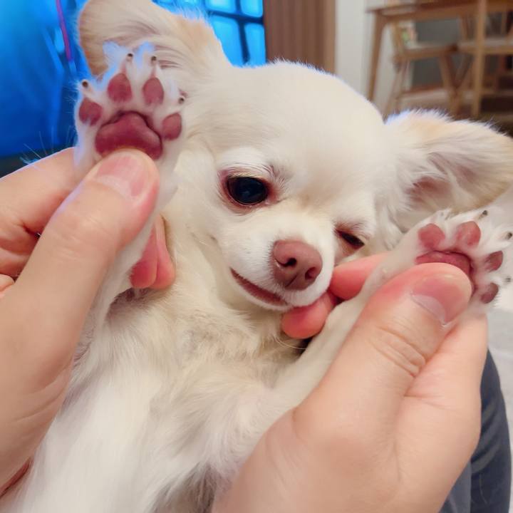 402845e5 2d04 4365 a72f 0bb33b8f4c2a 1717247851817