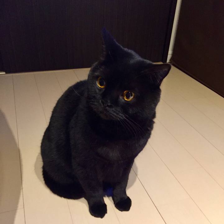 40284e66 0fbe 4181 994f 918e74e09699 1578056953036