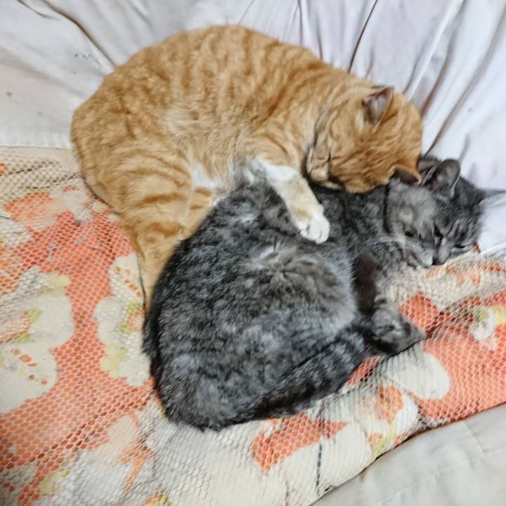 40288a52 1d14 4cfa b27a b8450aee2a75 1583933905452