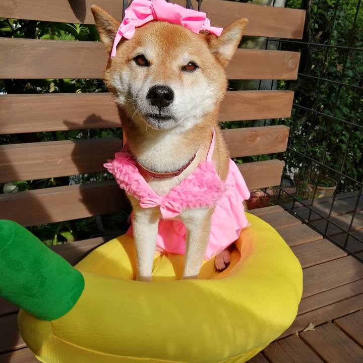 4028a1f6 afa3 473c b38f ff885d3a2e73 1658301088744