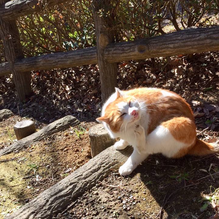 4028c8fb 5b25 4dee 9e93 b0e673f0d8ea 1549094862764