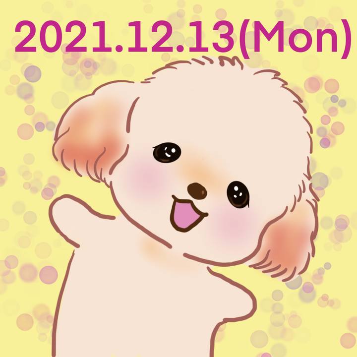 4028ccfd dec4 4256 b159 e0cb572cb644 1639402096946