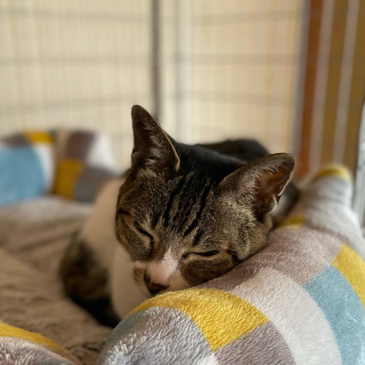 40291979 3a55 420f 9125 80856f6871c2 1621303516934