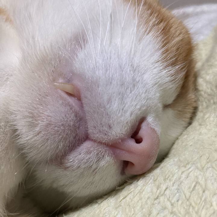 4029345b 05b8 4243 83b5 e2e8f7f3d03a 1769233622656