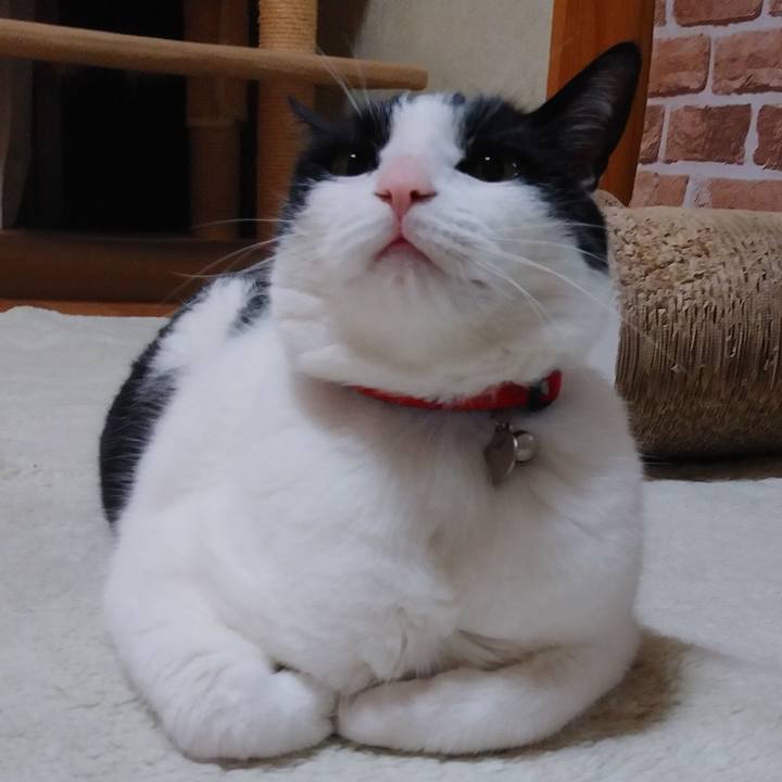 40296784 0939 4c0a aa7a f9d133ba148f 1595646102101