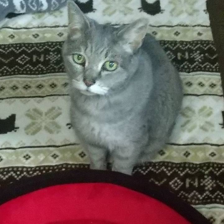 4029ce92 4b39 46f8 8d43 eb71a9533be5 1680424635847