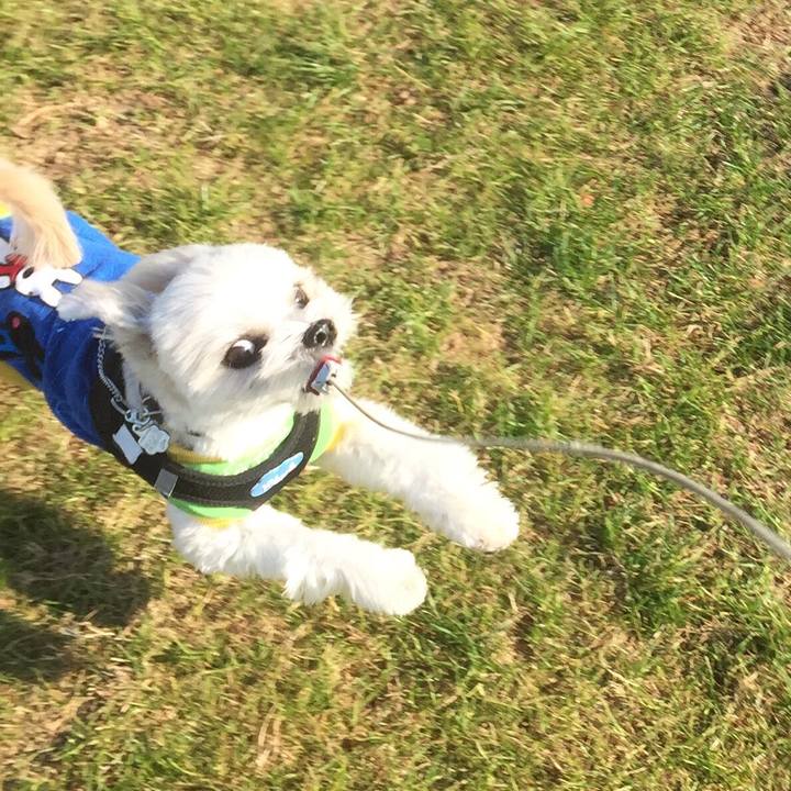 4029db9d 7759 43b2 964d 2df82791afaf 1510916044896