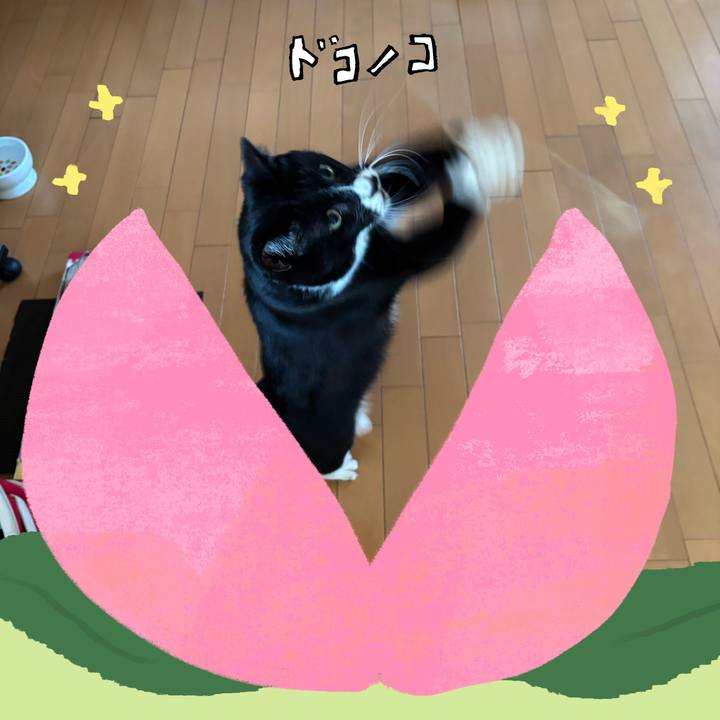 4029e97b b3d6 44c6 9180 6bdfb65486cf 1771848059999