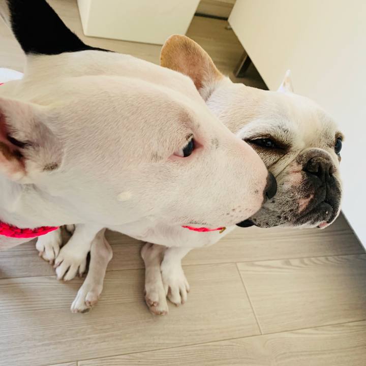 4029effd 4269 4313 9d67 7ae25726a65f 1557801210320