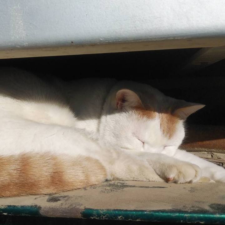 402a3643 8d6b 486d 8aff cd26d672174a 1576808727472