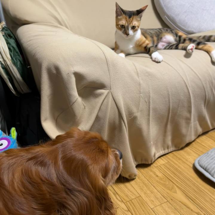 402a56ea d4d0 4389 affb 964ee24a7687 1665095094857