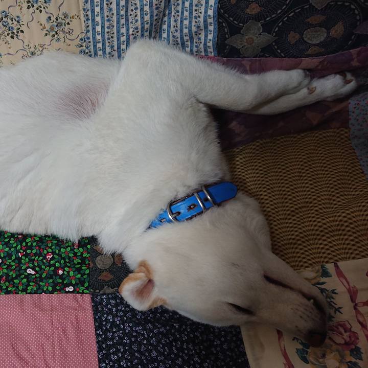 402a7f01 fb46 417a 977e ccd26cc7bb7a 1587739736126