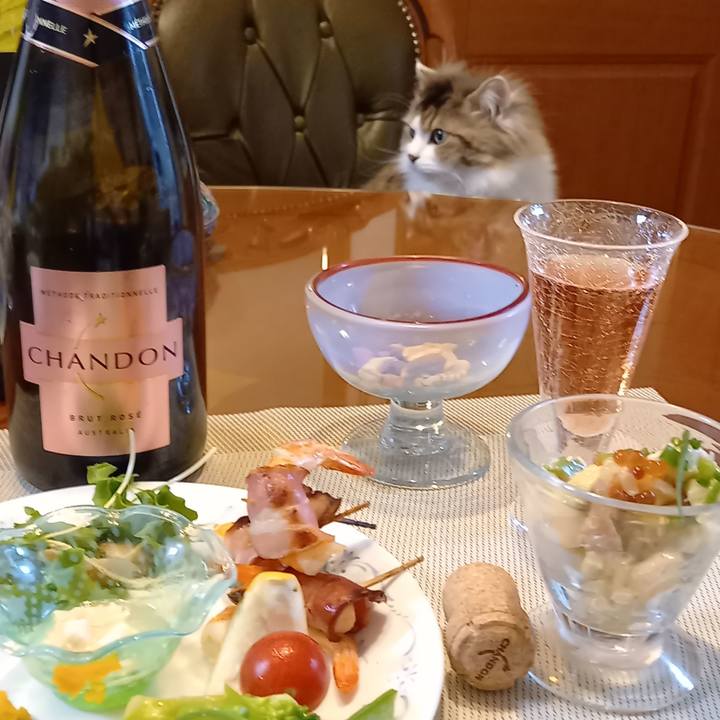 402a9491 a242 4494 98de 297d22b41478 1618744533848