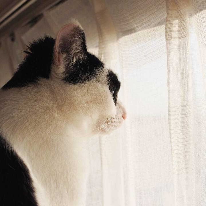 402aa9e2 ef7e 4e09 a090 cf688d247d5b 1548832250649