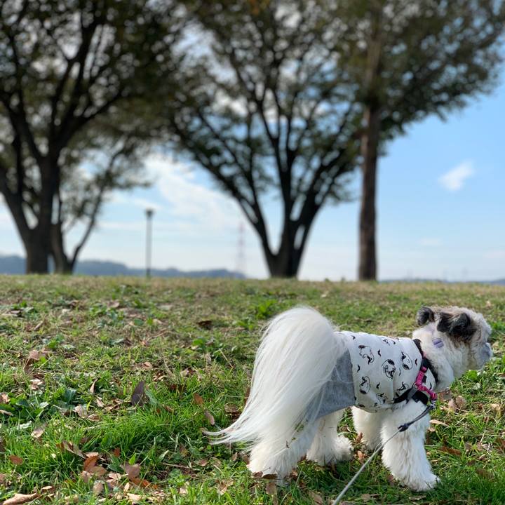 402b30be f0aa 4f6b a04e 3db391f2fd30 1573705781733